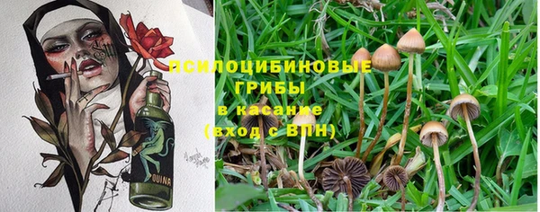 ГАЛЛЮЦИНОГЕННЫЕ ГРИБЫ Алексеевка