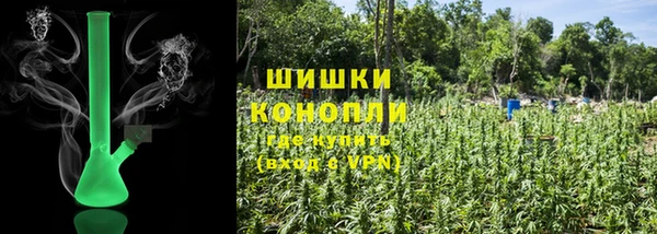ГАЛЛЮЦИНОГЕННЫЕ ГРИБЫ Алексеевка