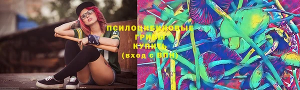 ГАЛЛЮЦИНОГЕННЫЕ ГРИБЫ Алексеевка