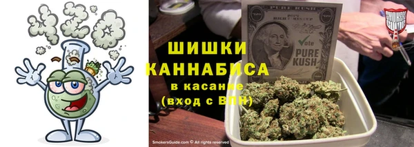 твердый Алексин