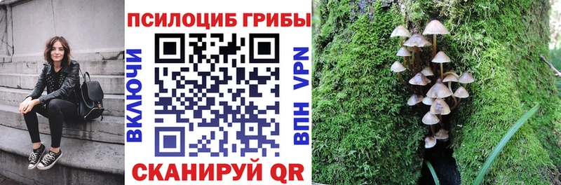 что такое наркотик  Шелехов  Галлюциногенные грибы прущие грибы 