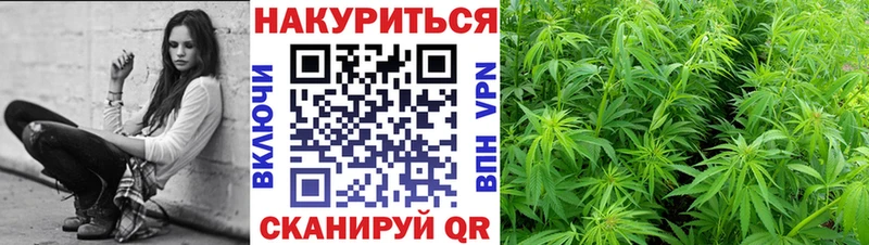 магазин    Шелехов  Бошки марихуана конопля 